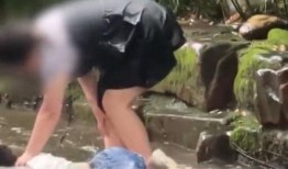 成都闺蜜爆料事件视频,揭秘背后惊人真相